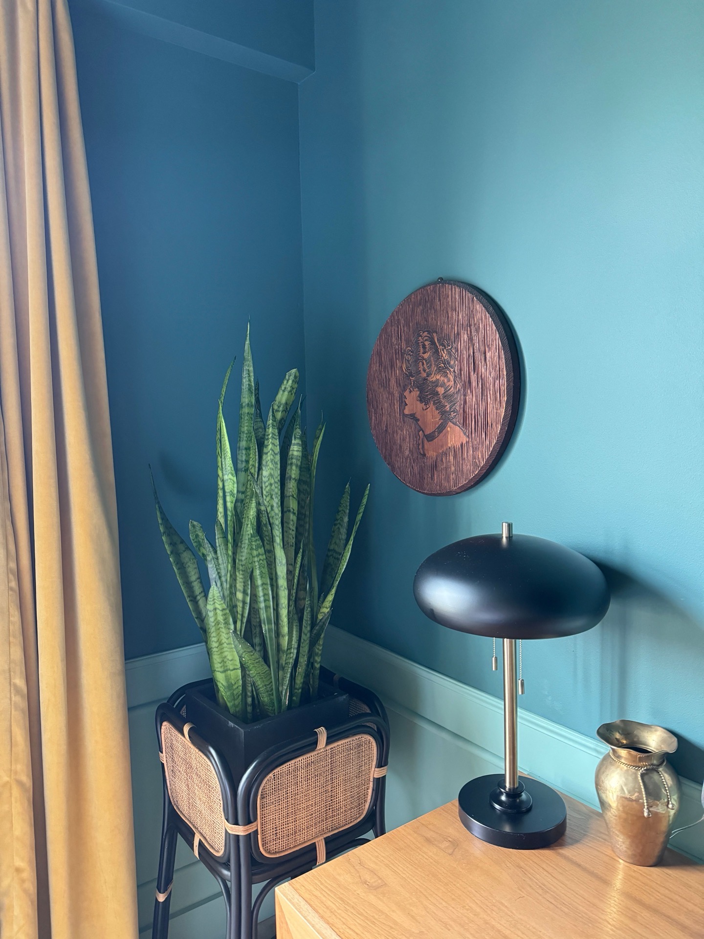 Modern turquoise interior corner featuring tall snake plant in black planter, black cane chair with rattan details, wooden desk with brass lamp and decorative vase